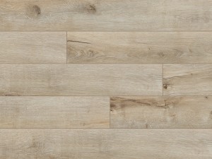 CLASSEN TREND 52600 GOŁDAP AC5 8 mm 4V