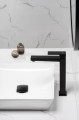 LOGON_BLACK_bateria_umywalkowa_nablatowa (1).jpg
