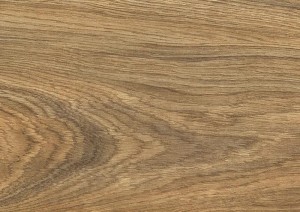 4583 DĄB CANNES AC5 8mm MOVIE Kronopol