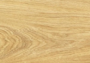 4581 DĄB HOLLYWOOD AC5 8mm MOVIE Kronopol