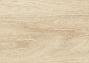 4579 DĄB CHARLIE AC5 8mm MOVIE Kronopol