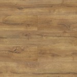 4923 DĄB CRACOVIA AC5/8mm TERRA