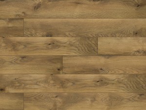 54755 Dąb Edynburg AC5/8mm Legend 