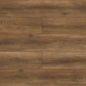 5381 Dąb Ofelia/AC4/8mm/Sigma/Ferrum