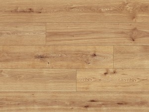 56684 Dąb Evans/AC5/8mm/Charm/Classen