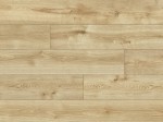 56686 Dąb Lindau/AC5/8mm/Charm/Classen 