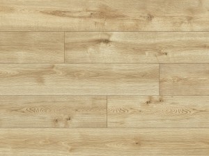 56686 Dąb Lindau/AC5/8mm/Charm/Classen 