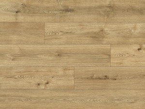 56687 Dąb Livorno/AC5/8mm/Charm/Classen