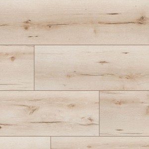 55042 Dąb Augusta/AC5/8mm/ Elite/Classen