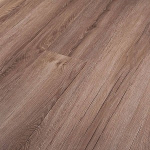 3501 DĄB MAGURSKI/ POWER PLUS/PERSECTO/AC4/8mm