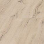  3237 DĄB JURAJSKI/POWER PLUS/PERSECTO/AC4/8mm