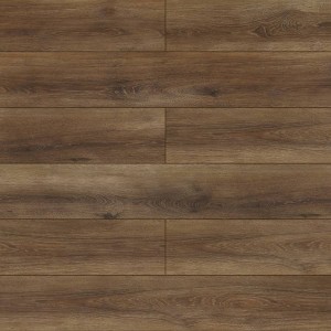 5381 Dąb Ofelia/AC4/8mm/Kronopol