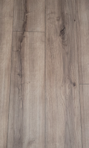 64979/DĄB SALERNO/AC5/8mm/CLASSEN/LIFE