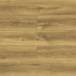 40324 DĄB FALCON AC5/8mm VOLO