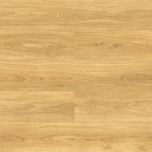 40334 DĄB ALBATROS AC5/8mm VOLO