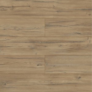 40254 DĄB CONDOR AC5/8mm VOLO