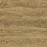 40644 DĄB URANIA AC5/10mm BELLA