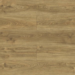 40644 DĄB URANIA AC5/10mm BELLA