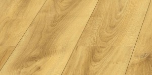 40624  DĄB COLLETTA  AC5/10mm  BELLA