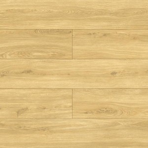 40614 DĄB RITA  AC5/10mm  BELLA