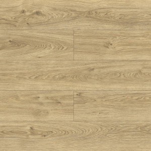 40604 DĄB AMELIA  AC5/10mm  BELLA