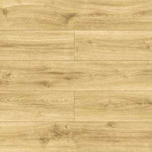 40594  DĄB CARISSA AC5/10mm  BELLA