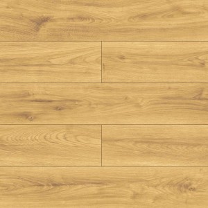 40544 DĄB AKROPOL AC4/8mm  MILO