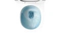 6.webp