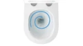 5.webp