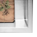 4.webp