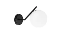 3.webp