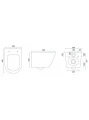 8.webp