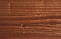 AFRICAN MAHOGANY / SAPELLA /