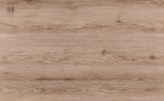 CLASSEN Dąb Argenta latte / 54709/ DISCOVERY /  WR 